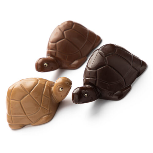 TORTUES 120g